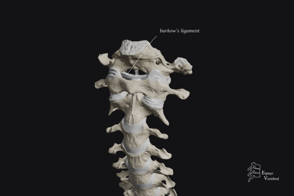 Ligamento de Barkow